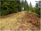 Zgornje Jezersko - Roblekova planina